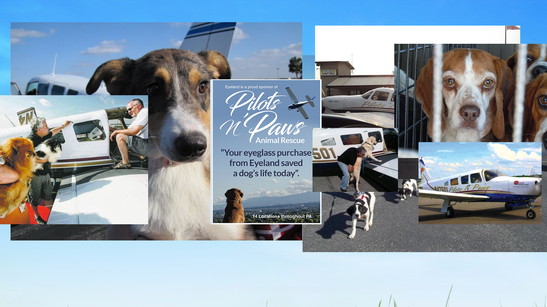 Pilots n Paws